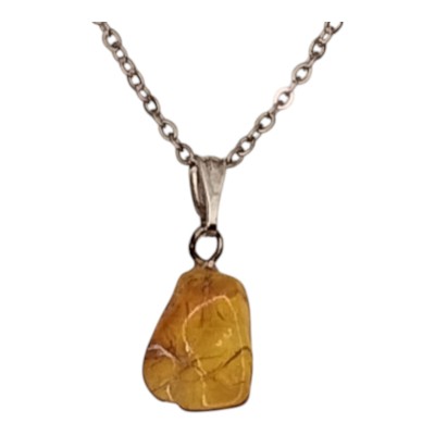 Colgante de ámbar y cadena de acero