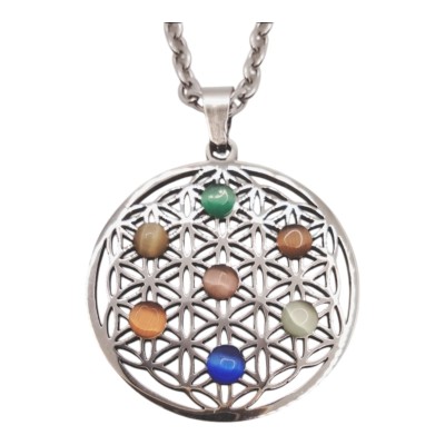 La flor de la vida con chakra ojo de gato