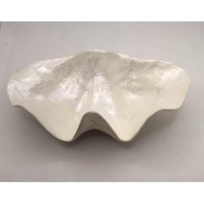 Plato conchas nácar, posa llaves