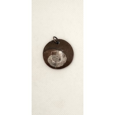 Colgante amonita(fósil)