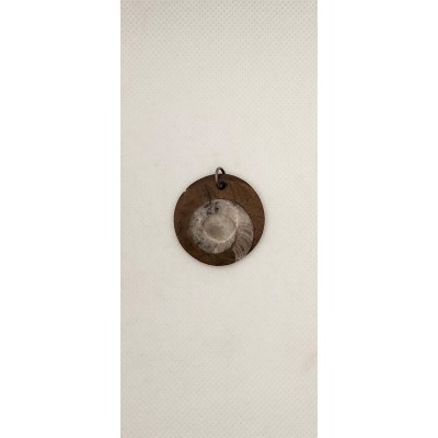 Colgante amonita(fósil)