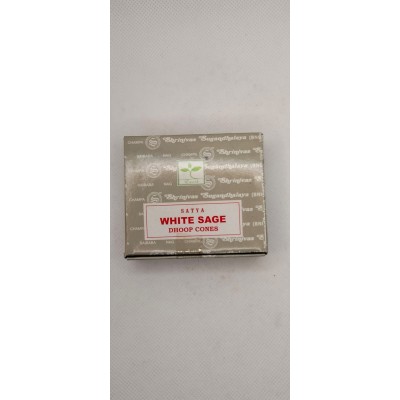 Conos de la salvia blanca