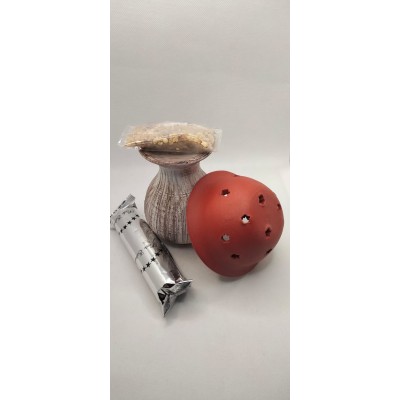 Seta porta-incienso + carbón+resina natural